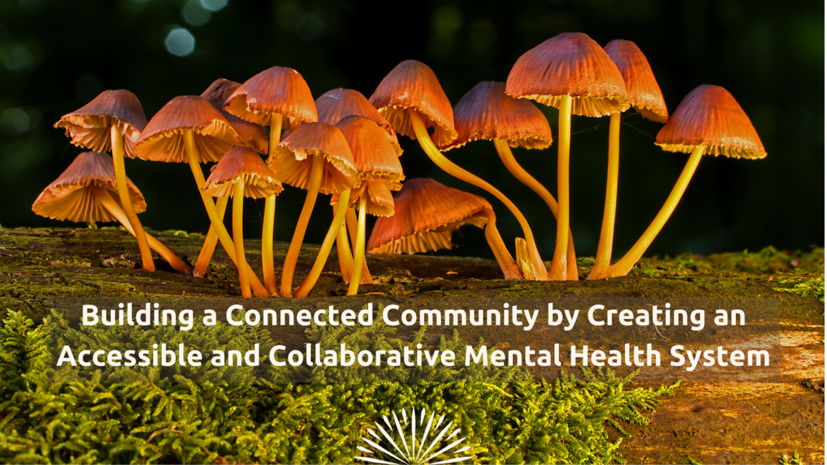 Building a Connected Community by Creating an Accessible and Collaborative Mental Health System